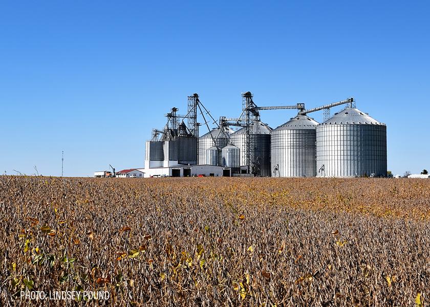 An Important Wildcard In The 2024 Grain Storage Outlook The Scoop   Soybeans   Grain Elevator   2022   Lindsey Pound 3 